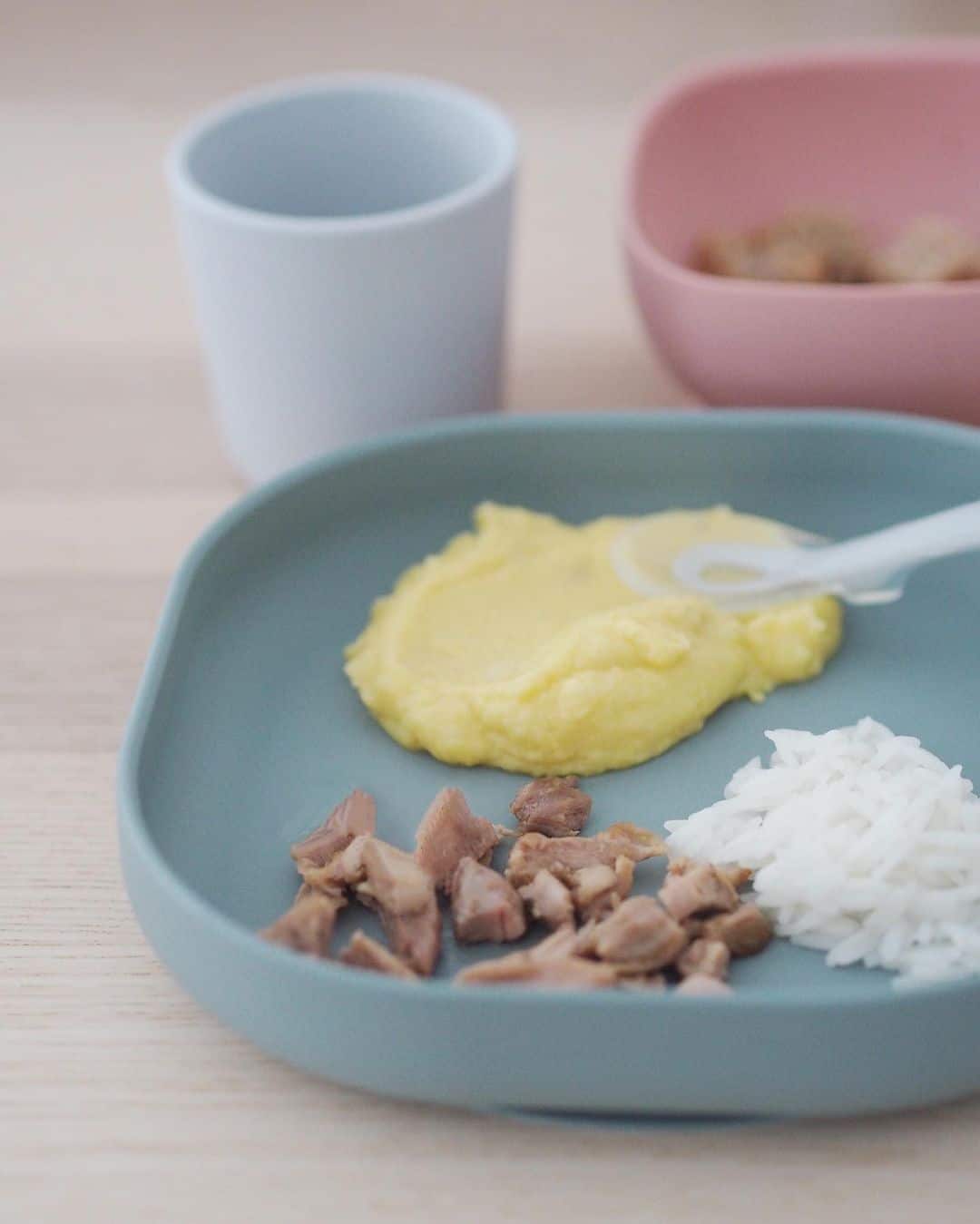 Silicone Meal Set - Eucalyptus