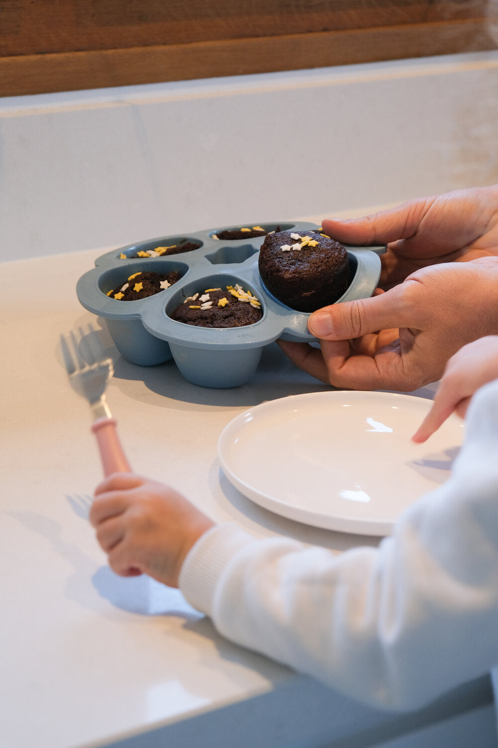 90ml Silicone Freezer Pods