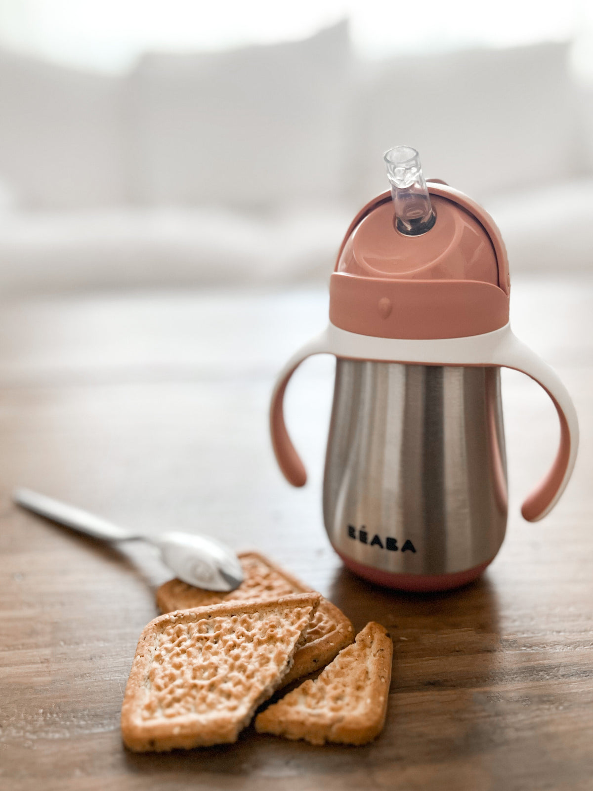 Stainless Steel Sippy Cup
