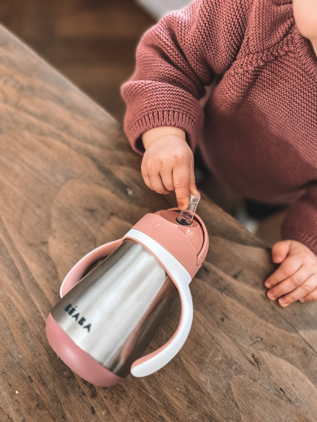 Stainless Steel Sippy Cup