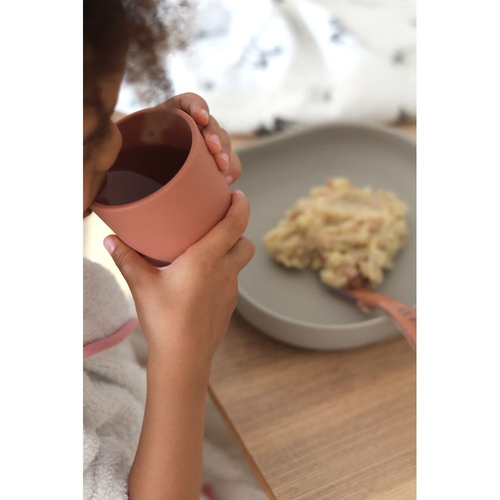 Silicone Meal Set - Terracotta