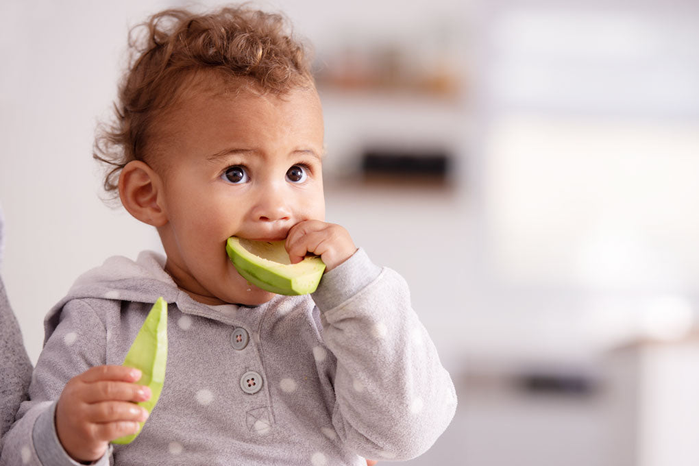 Top 5 Foods for baby's brain development