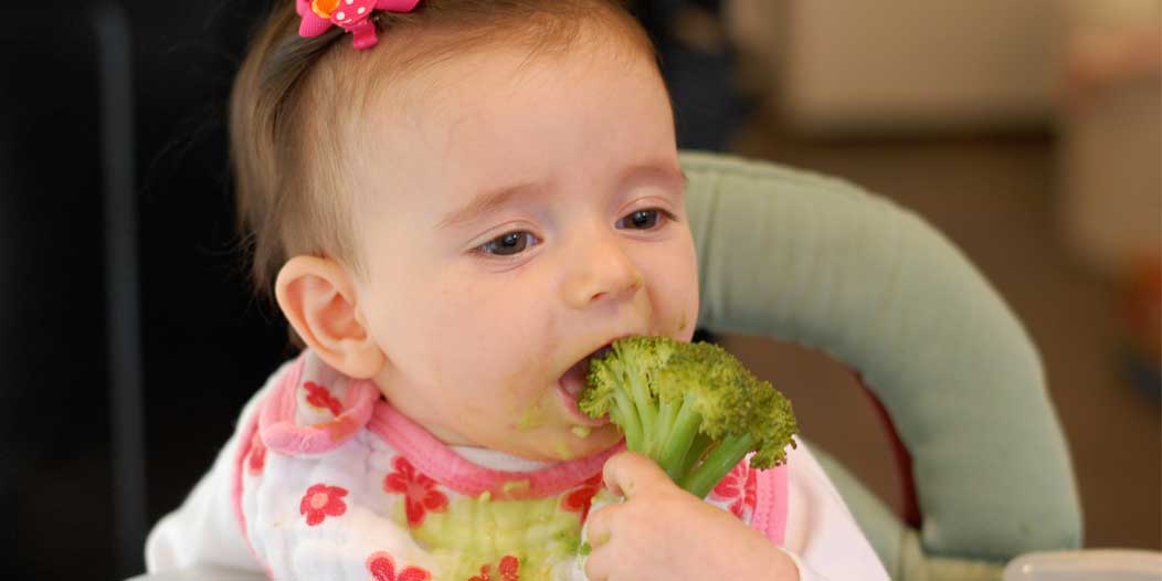 Baby Led Weaning - Starting Baby With Finger Foods First