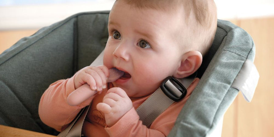 Baby-Led Weaning vs. Traditional Weaning