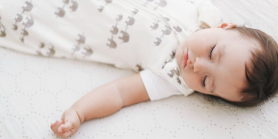Back to Routine: Easy Baby & Toddler Meals for Busy Parents