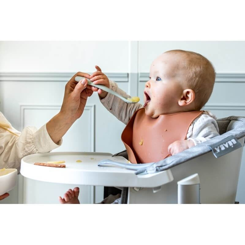 Beaba 1st Stage Silicone Spoons 2 Pack with Case