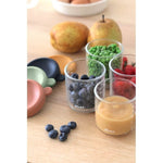 250ml Glass Containers - 4 Pack