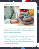 Limited Edition Toddler Meal Set
