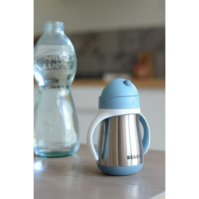 Stainless Steel Sippy Cup
