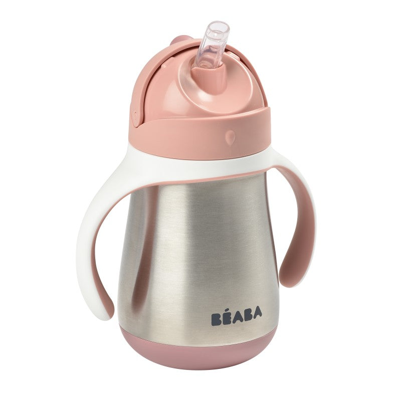 Stainless Steel Sippy Cup