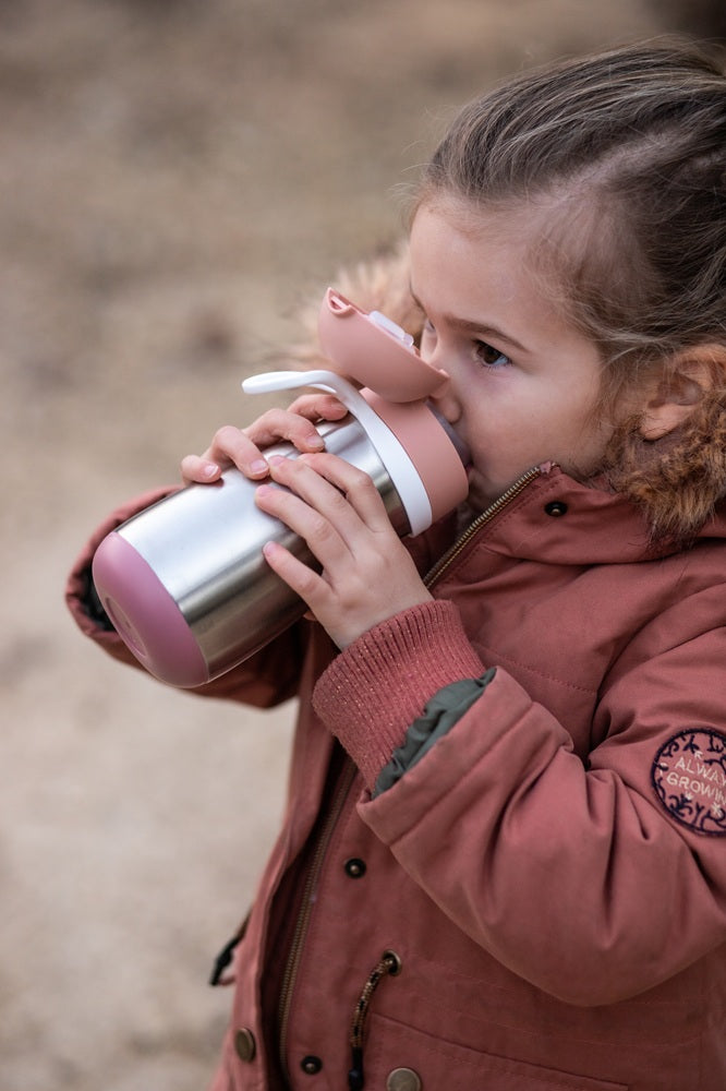 Stainless Steel Water Bottle