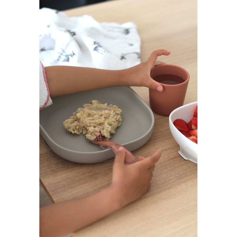 Silicone Meal Set - Terracotta