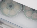 150ml Silicone Freezer Pods
