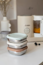 Stainless Steel Meal Box Set - Natural