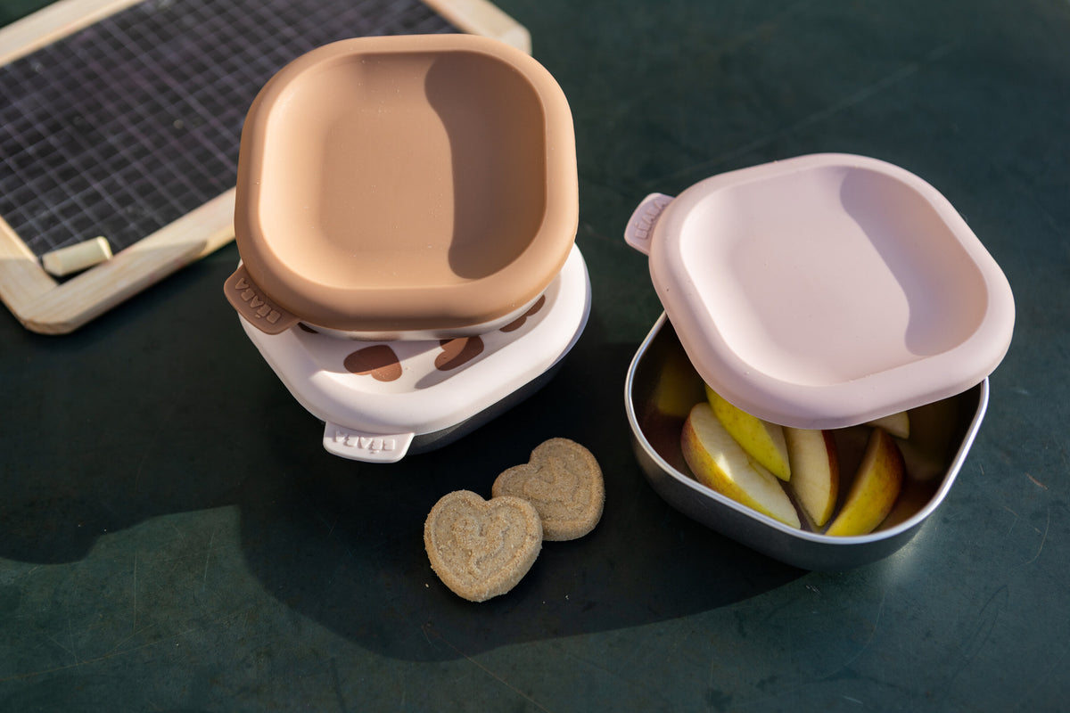 Stainless Steel Meal Box Set - Big Love