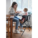 Up & Down High Chair Seat Cushion - Laurier