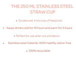 Stainless Steel Sippy Cup