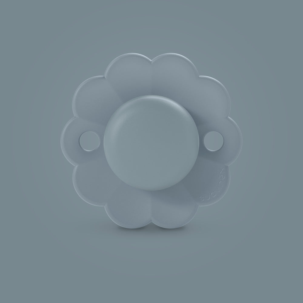 Suavinex Wonder SX PRO soother in Spring Lake